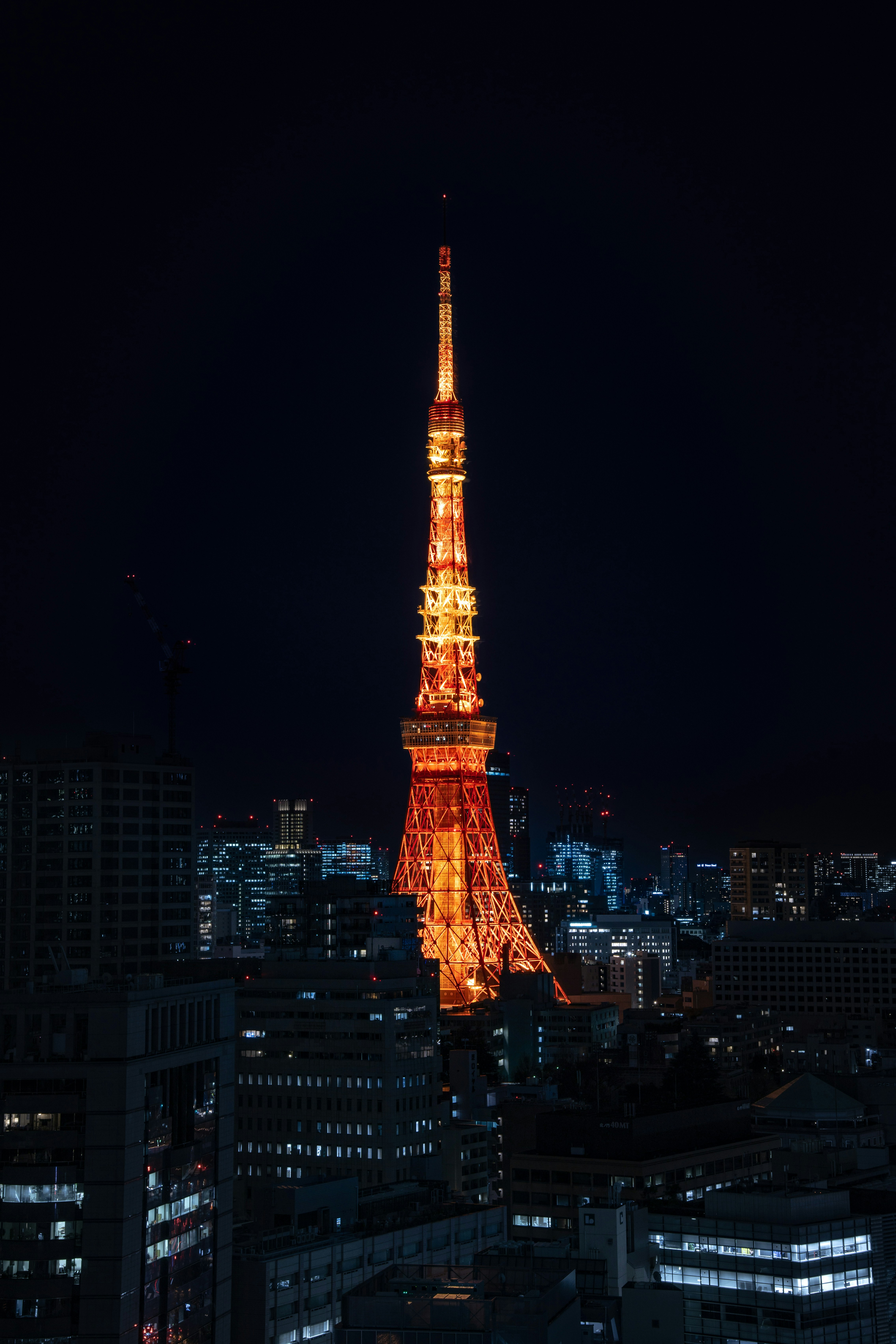 暮らしに、ちょうどいい知恵と温もりを